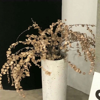 兽设洞穴场景设计福瑞交流群